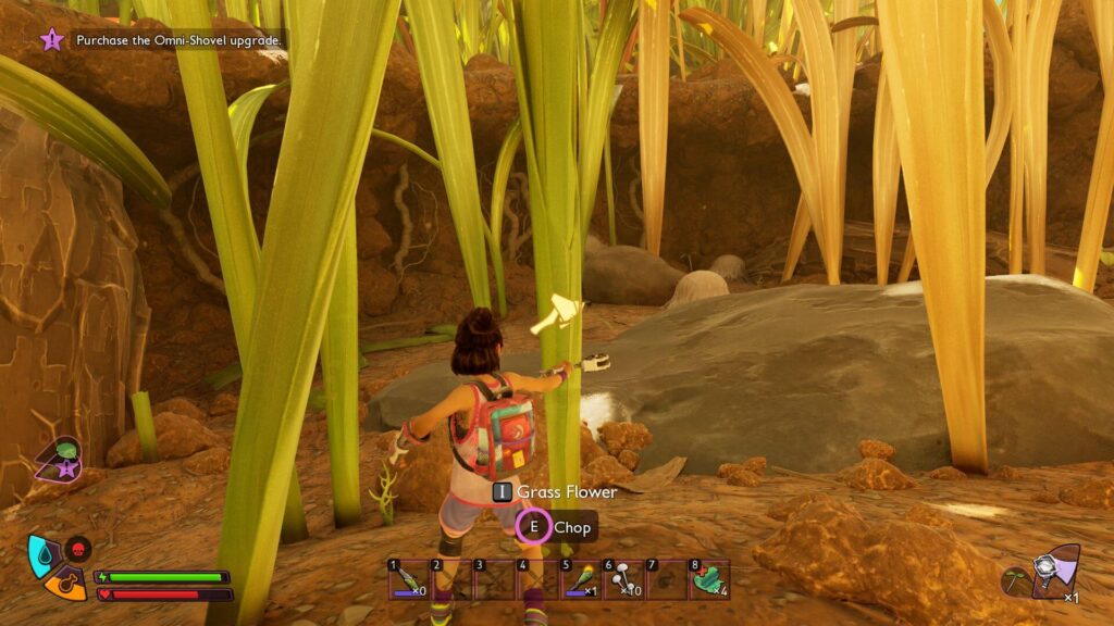 Finding Grass Flower to get Grass Seeds
