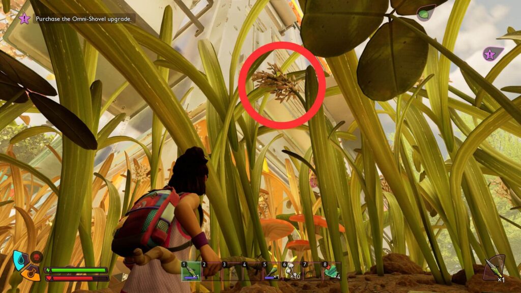 Finding Grass Flower to get Grass Seeds